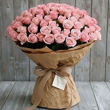 Букет 151 Роза Роуз #REPLACE_PRED# Балахне